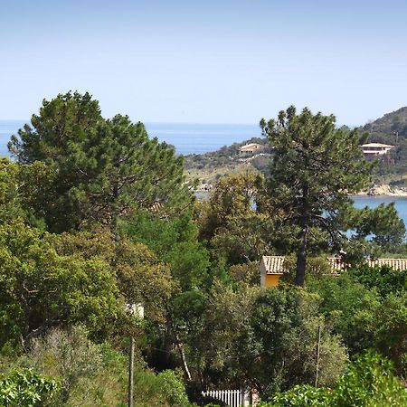 Villa Mimosa Favone Eksteriør bilde