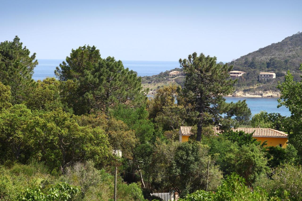 Villa Mimosa Favone Eksteriør bilde