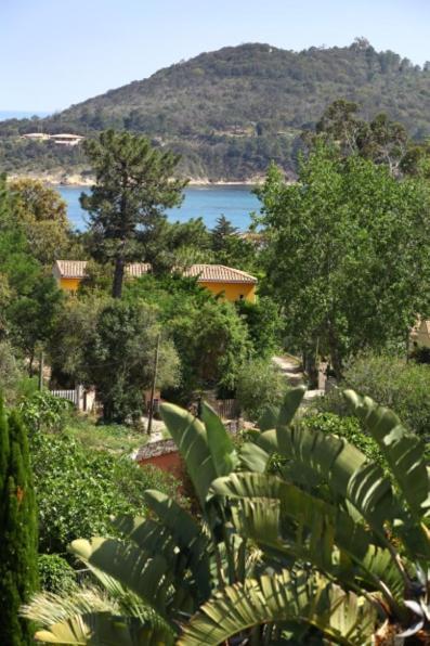 Villa Mimosa Favone Eksteriør bilde