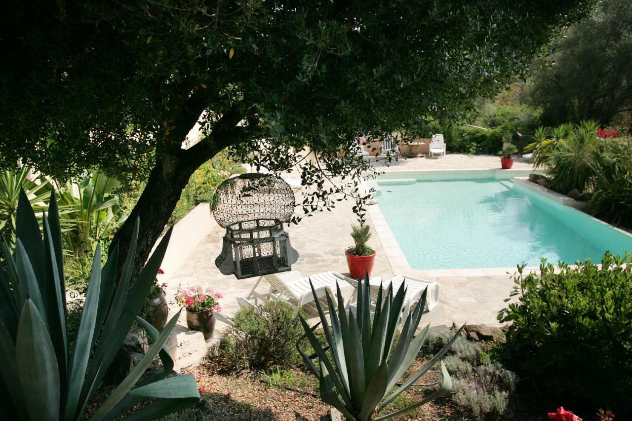 Villa Mimosa Favone Eksteriør bilde