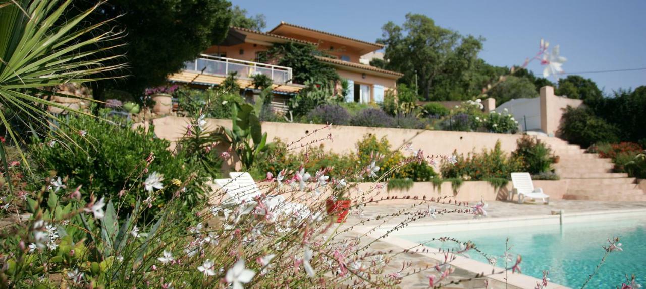 Villa Mimosa Favone Eksteriør bilde