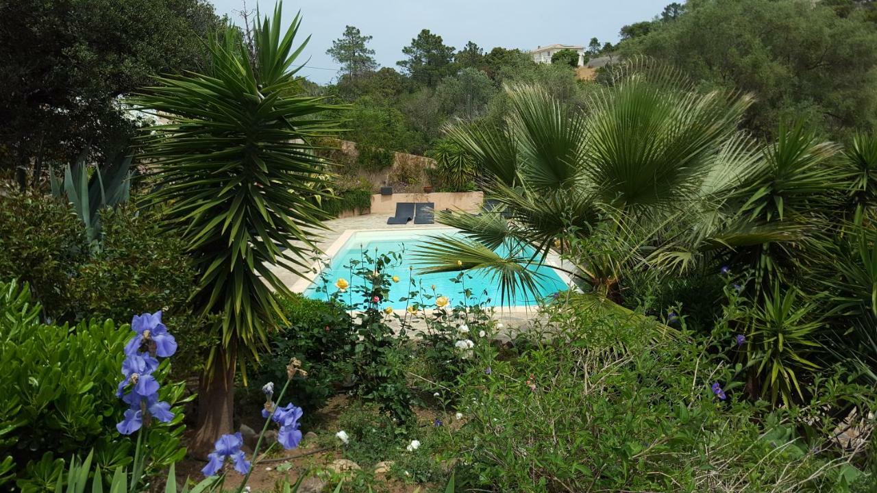 Villa Mimosa Favone Eksteriør bilde