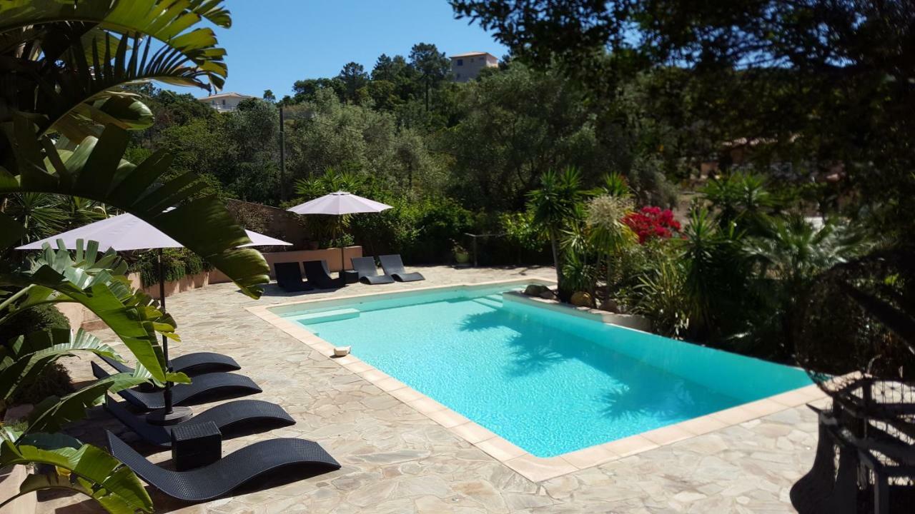 Villa Mimosa Favone Eksteriør bilde
