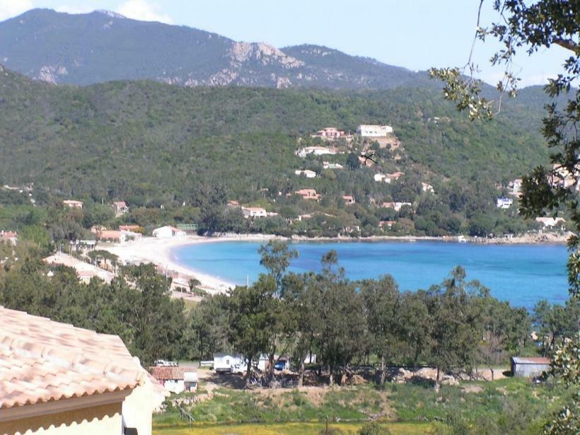 Villa Mimosa Favone Eksteriør bilde