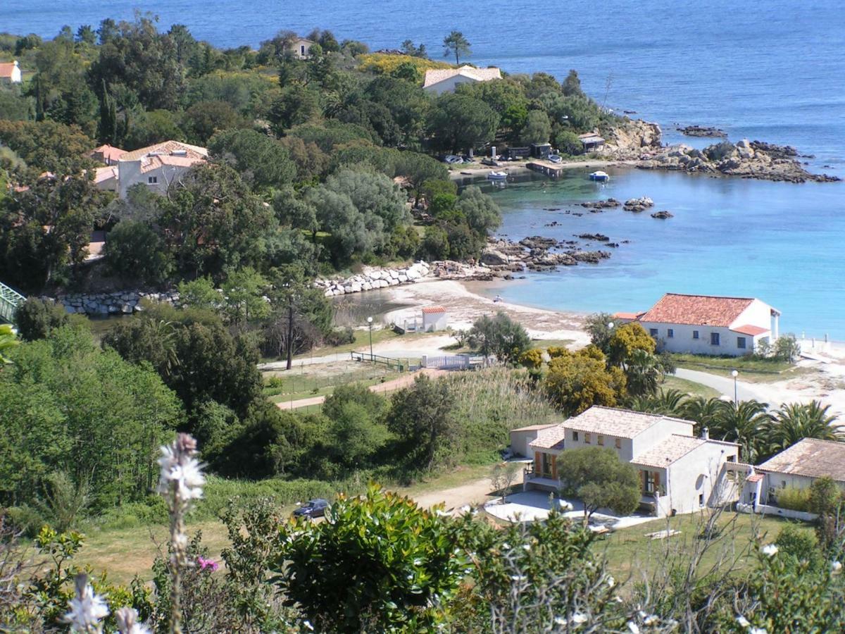 Villa Mimosa Favone Eksteriør bilde