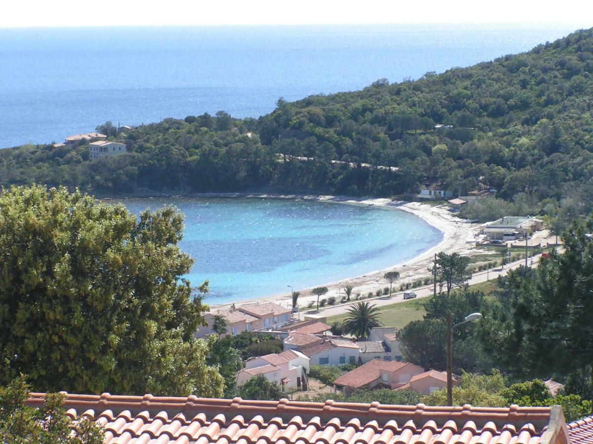 Villa Mimosa Favone Eksteriør bilde