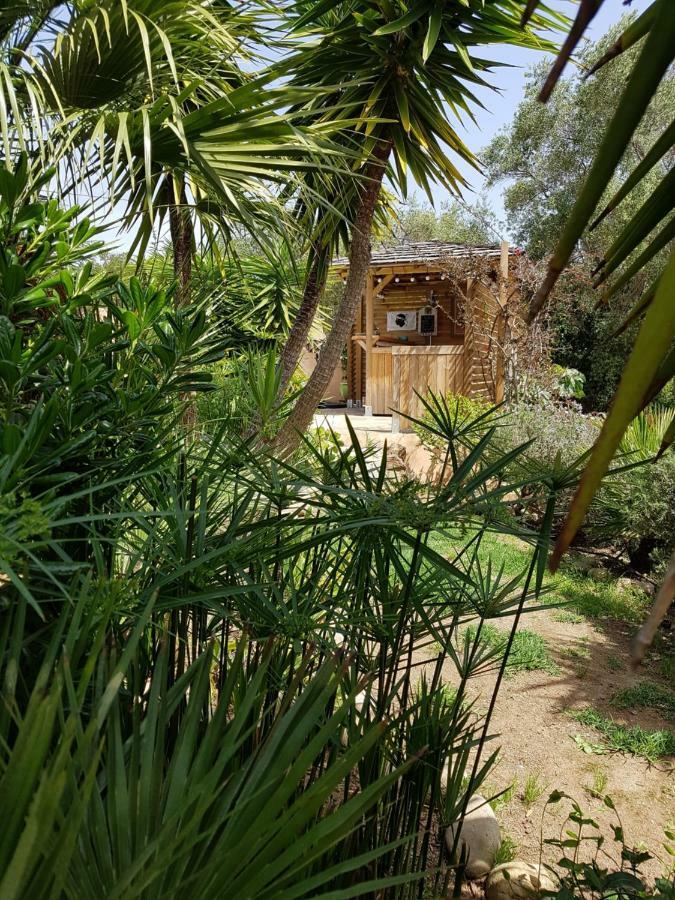Villa Mimosa Favone Eksteriør bilde