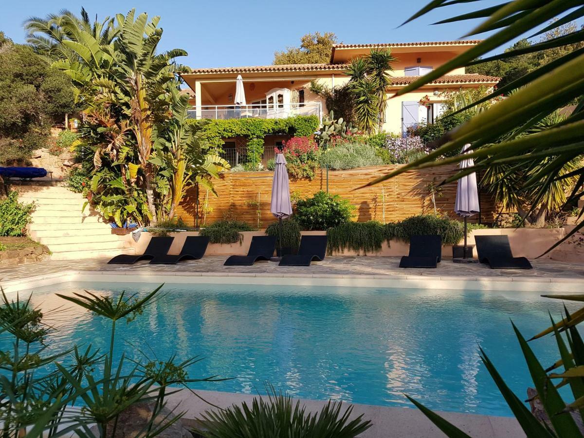 Villa Mimosa Favone Eksteriør bilde